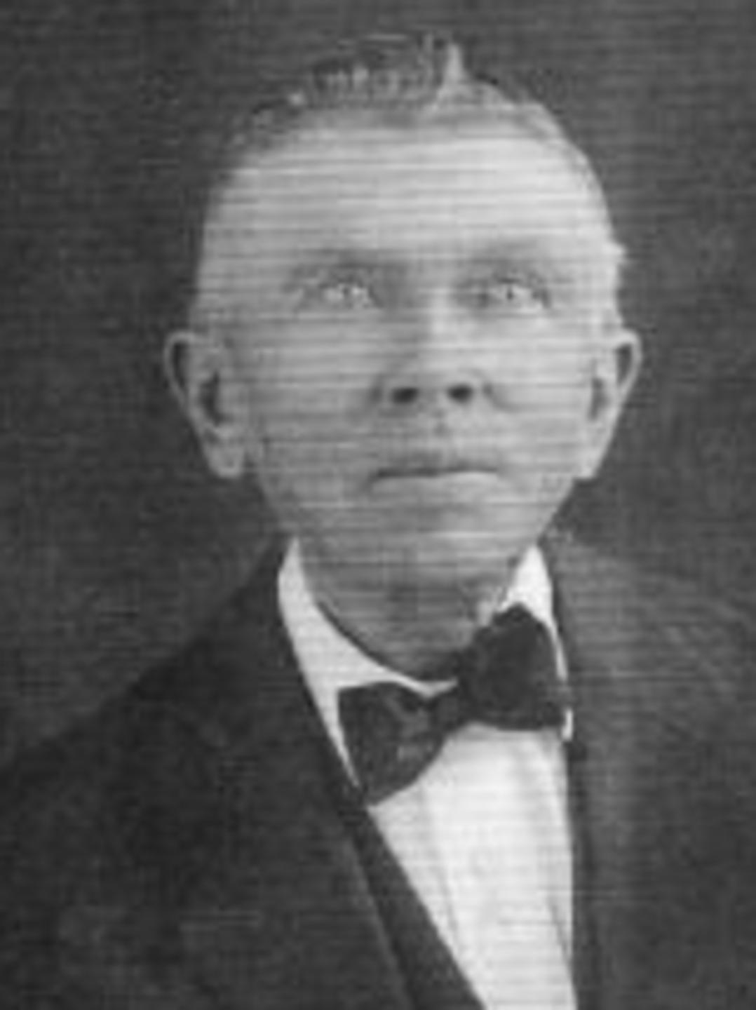 Louis Hansen Hougaard (1850 - 1920) Profile